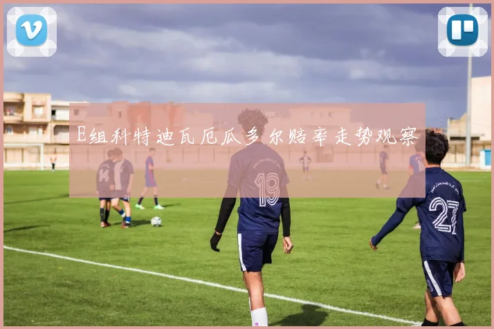 E组科特迪瓦厄瓜多尔赔率走势观察