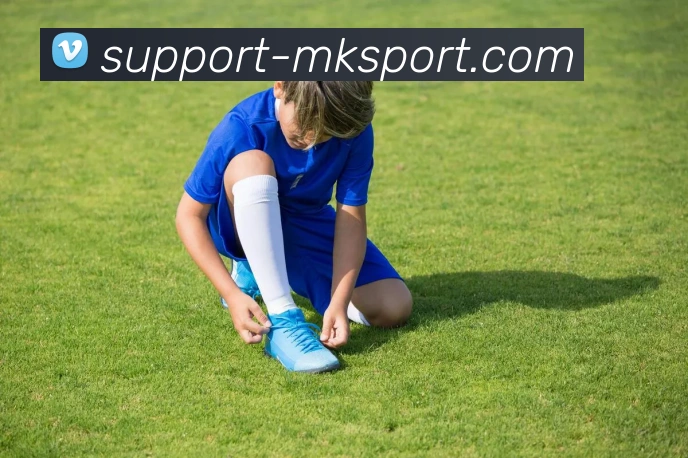MK体育（国际）官方网站-mksportAPP 封面图
