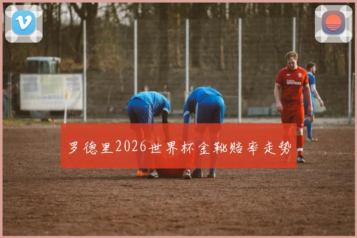 罗德里2026世界杯金靴赔率走势