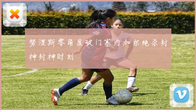 努涅斯零角度破门塞内加尔绝杀封神封神时刻