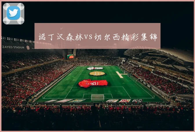 诺丁汉森林vs切尔西精彩集锦