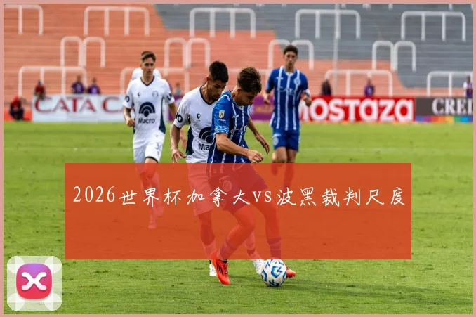 2026世界杯加拿大vs波黑裁判尺度